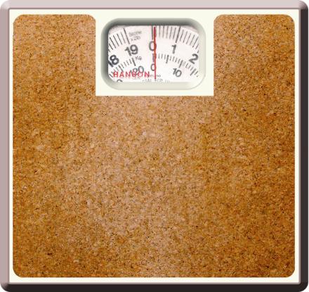 A set of bathroom scales
