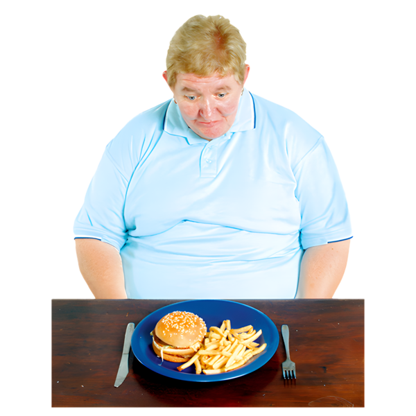A man in a blue shirt looks at a plate with a hamburger and fries