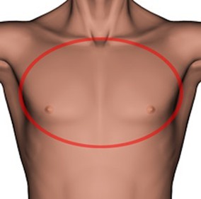 Photo of a mans chest