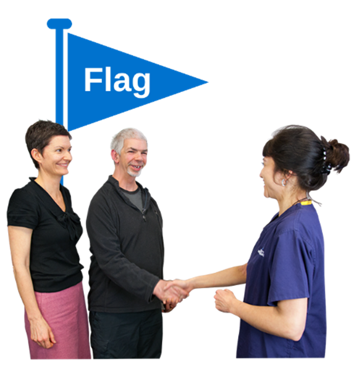 Nurse shaking hands with a man. A lady is standing next to the man. The blue flag icon is behind them.
