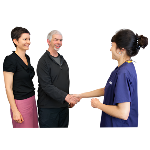 A person with a carer shaking a health professionals hand