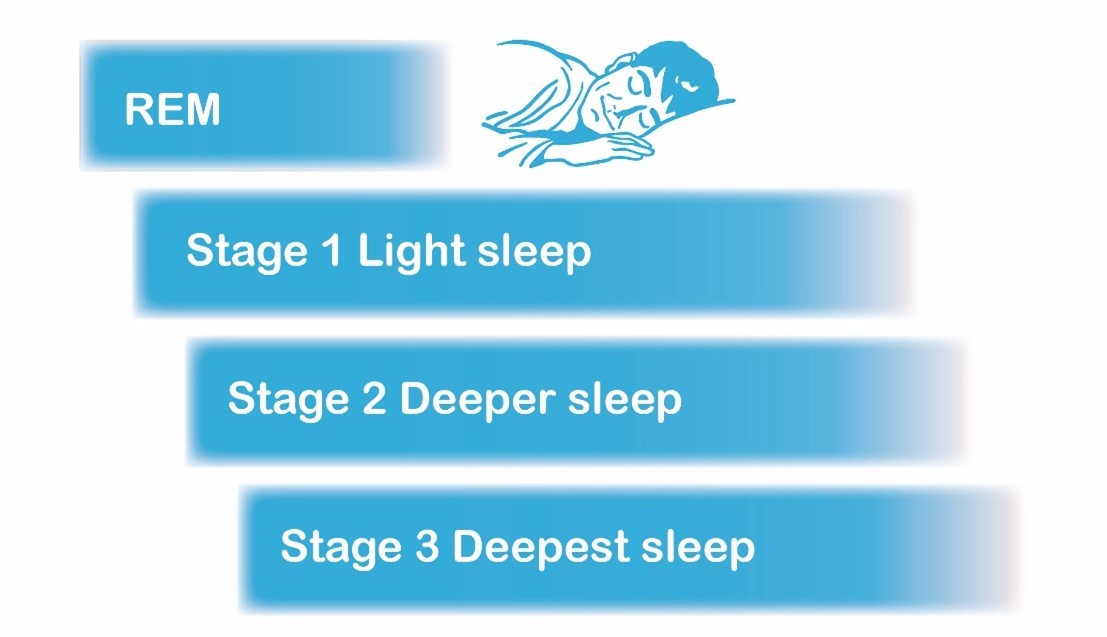 Ladder showing a sleeping man and then then detailing the Stages of Rapid Eye Movement (REM) sleep. Stage 1 light sleep, stage 2 Deeper sleep, Stage 3 Deepest sleep