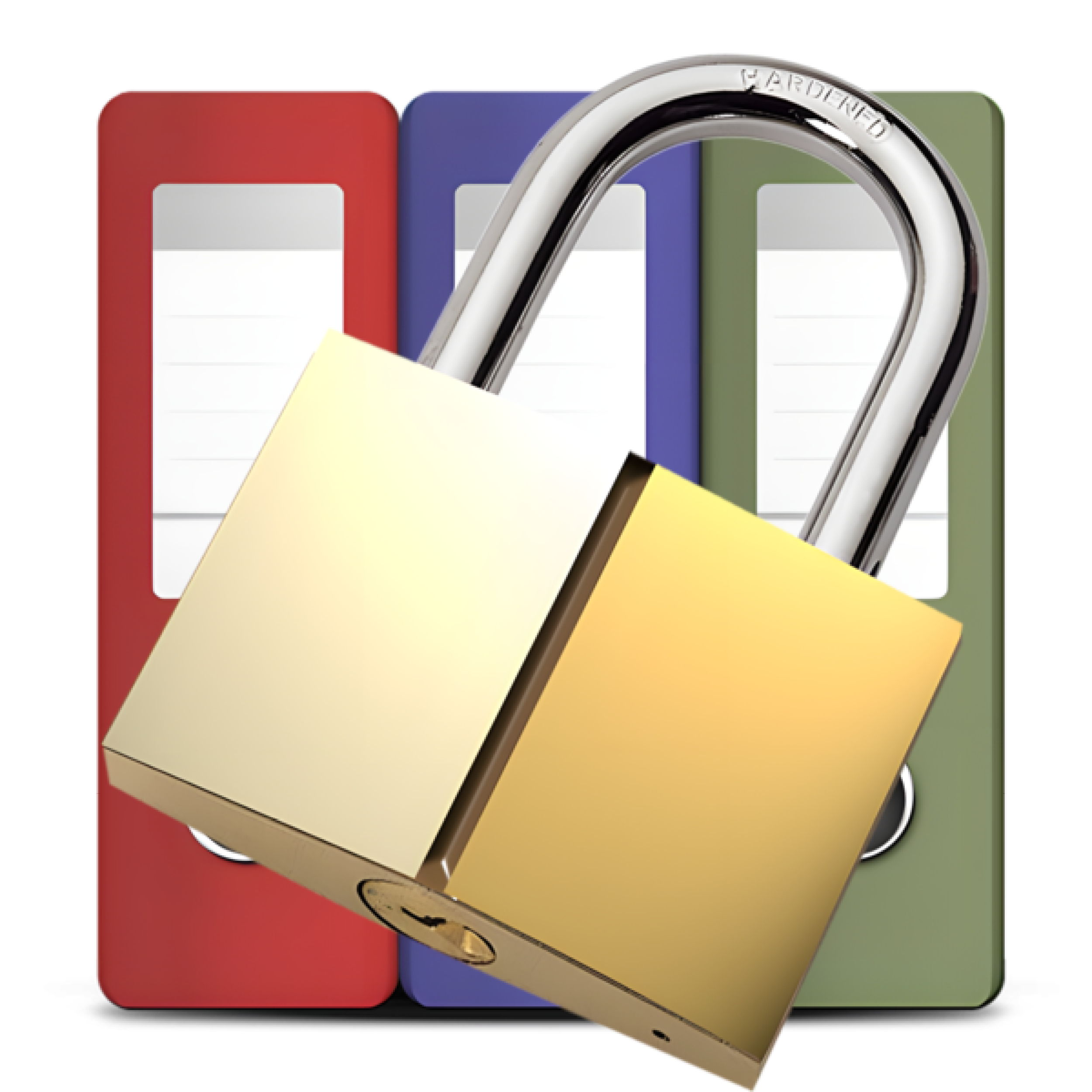 A picture of 3 document files and a locked padlock in front of them