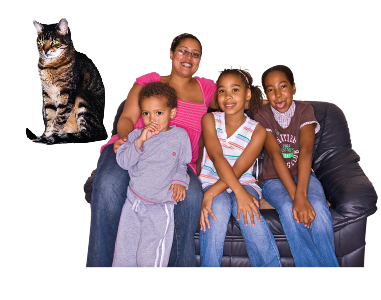 a tabby cat and a family sitting on a sofa