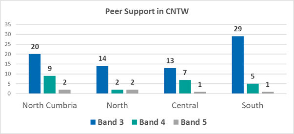 graph showing number of peer supporters across CNTW based on locality and band